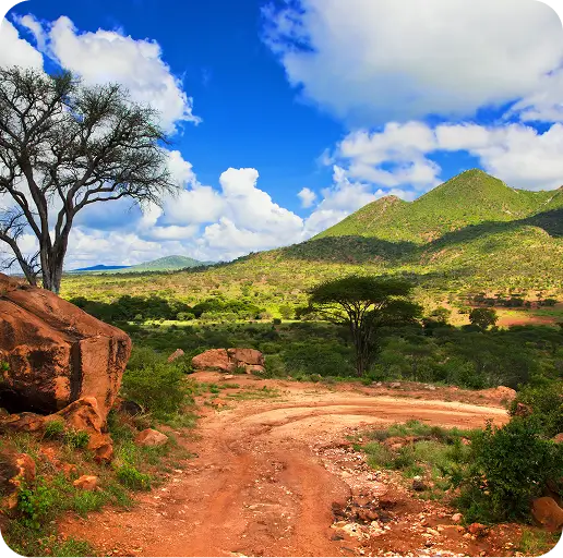 Adventure and nature experiences in Western Kenya at Bustani Tulivu